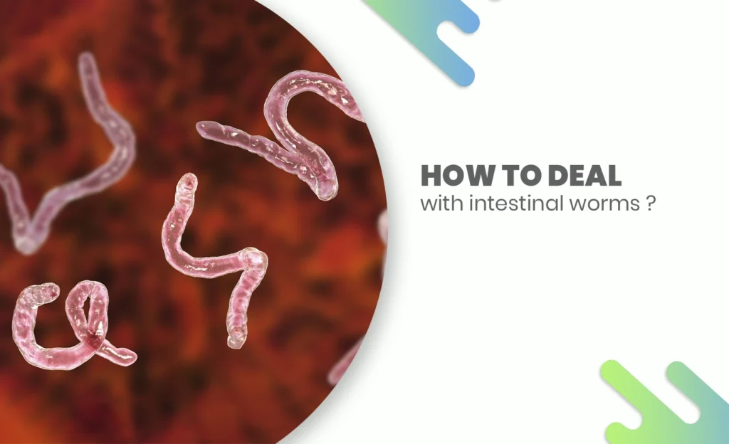 Microscopic view of intestinal worms with text on treatment guidance.