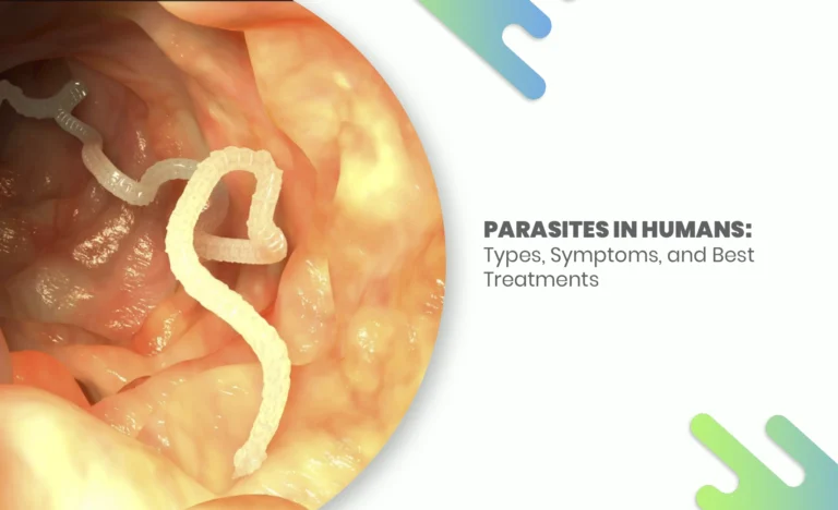 Intestinal parasite inside the human gut.