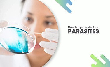 Guide on how to get tested for parasites, symptoms, diagnosis, and treatment options