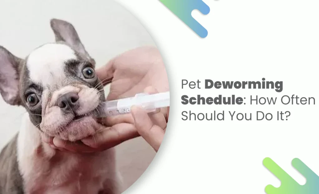 Puppy receiving deworming medicine