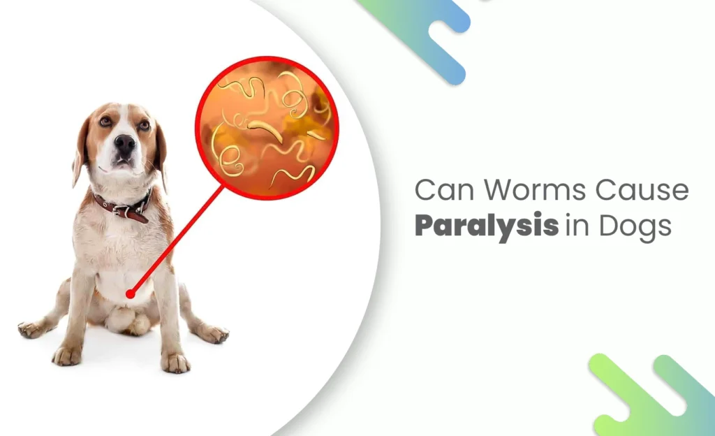 Dog with magnified worms illustration showing how parasites can cause paralysis in dogs