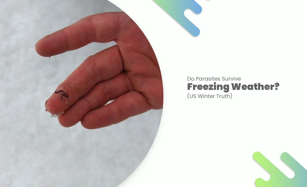 Hand holding tiny worm in snowy background for parasites surviving freezing weather article