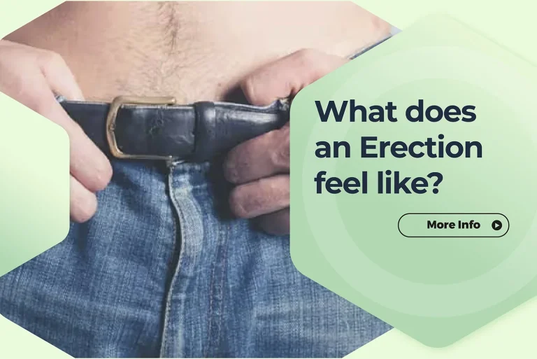 What does an erection