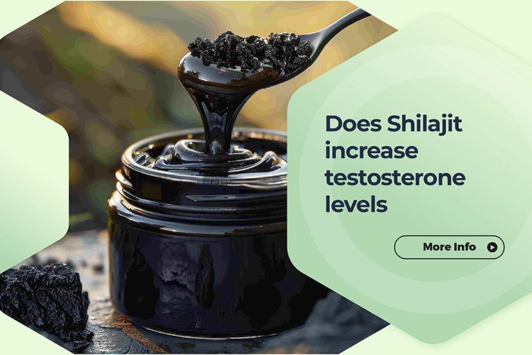 Does Shilajit increase testosterone levels