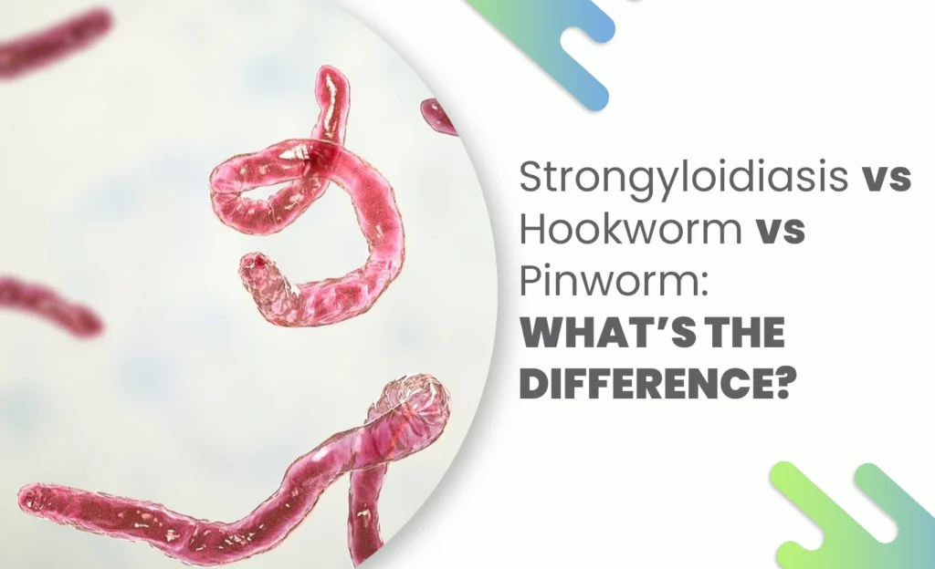 Comparison of parasitic worms under microscope