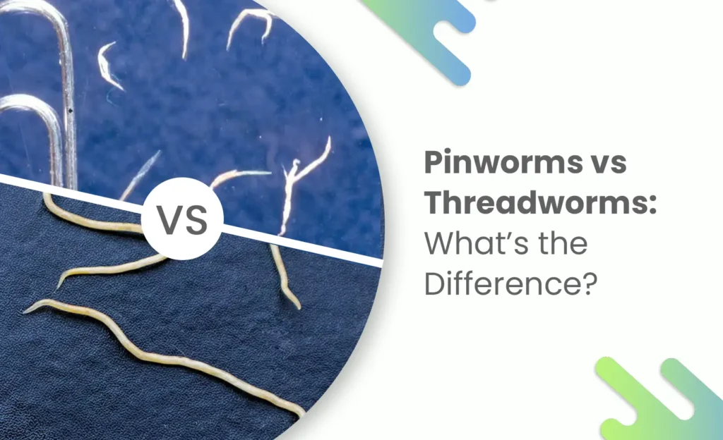 Close-up comparison of pinworms and threadworms with a VS label and the text "Pinworms vs Threadworms: What’s the Difference?"