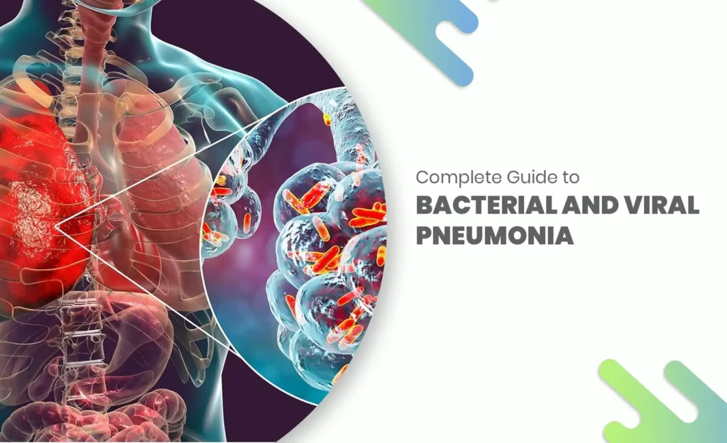 Human lungs showing bacterial and viral pneumonia infection illustration.