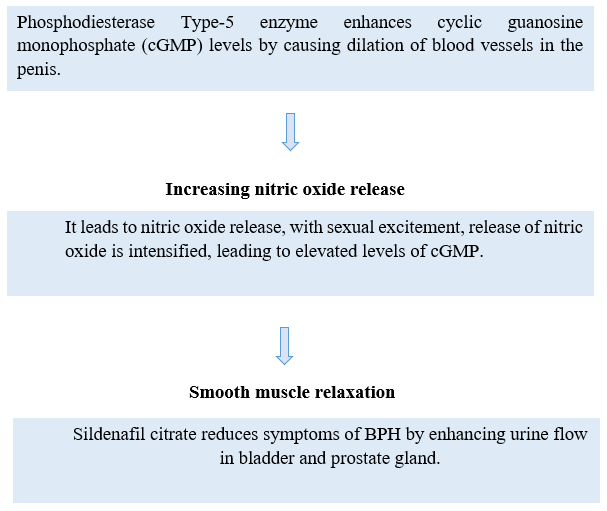 Screenshot 2025 10 30 120652