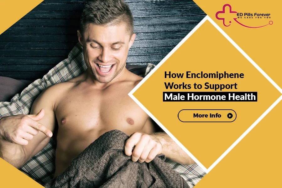 How Enclomiphene Works to Support Male Hormone Health