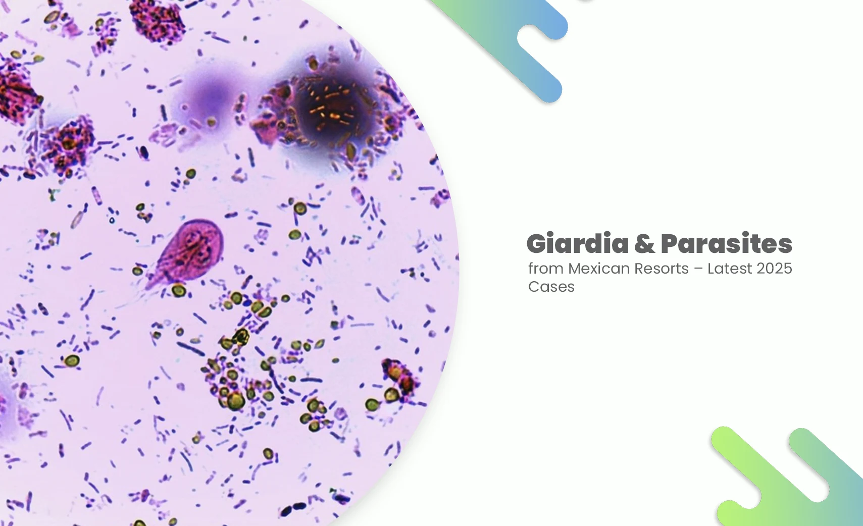 Giardia & Parasites microscopic view from Mexican resorts