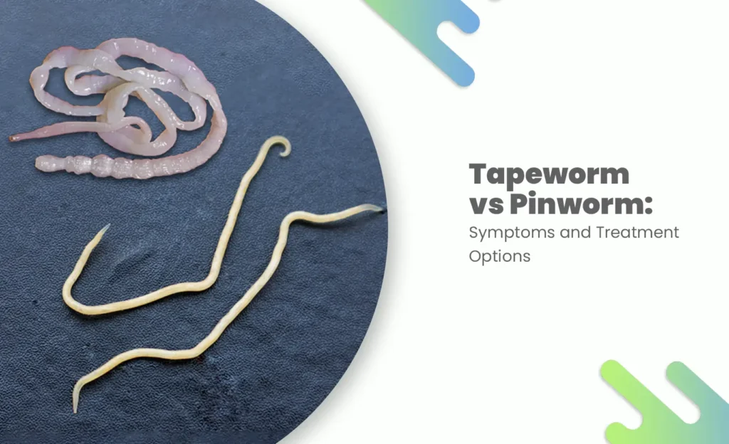 Comparison of tapeworm (long flat) and pinworm (small thread-like) worms